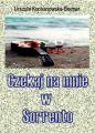 Urszula Kochanowska-Bremer – „CZEKAJ NA MNIE W SORRENTO”, 