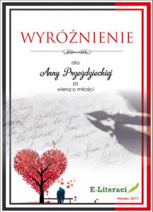 wyroznienie-ania.jpg