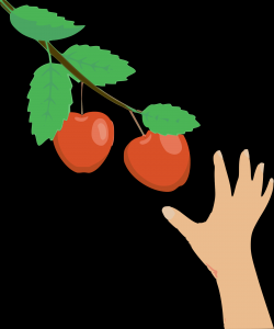 dominicclovis-apples-5782360_1920.png